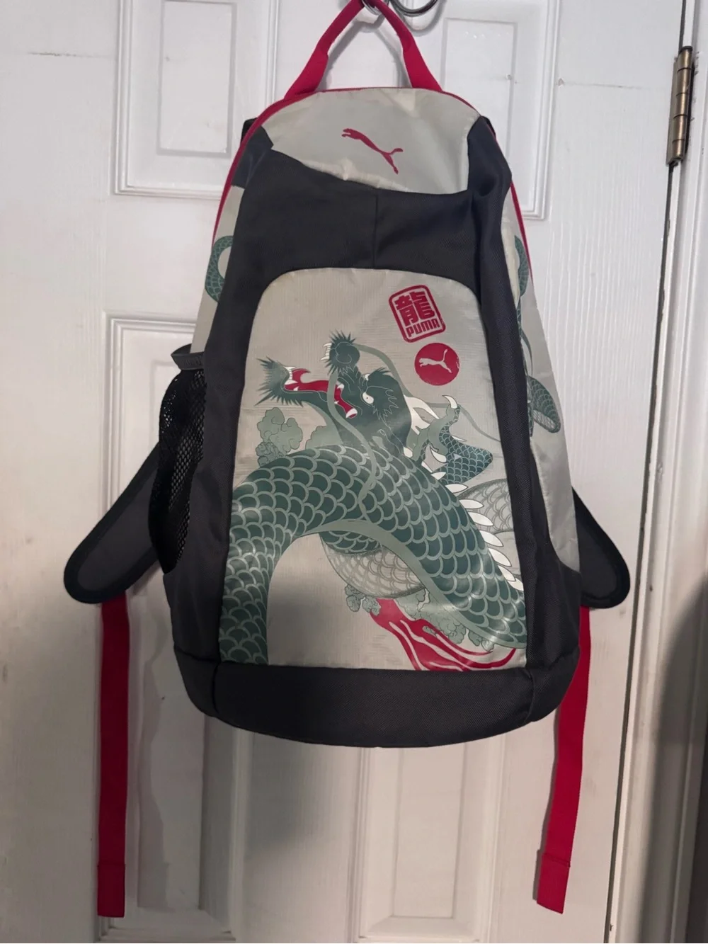 Puma Men’s Gray and red Dragon Graphic Backpack